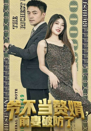 爷不当赘婿，前妻破防了（80集）免费观看