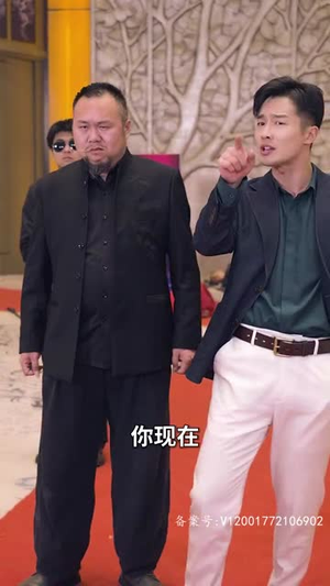 新：狂龙下山（100集）短剧全集完整版