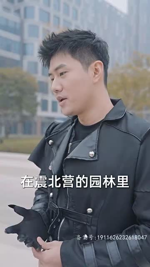 新版：屠龙（79集）短剧更新抢先看