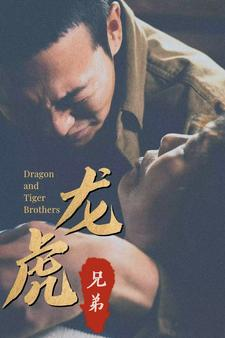 龙虎兄弟（80集）热播短剧来袭