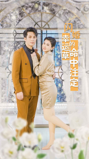 闪婚幸运草的命中注定（82集）爆款短剧抢先看