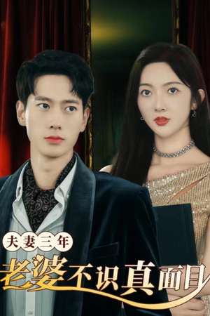 夫妻三年老婆不识真面目（83集）高清无码免费看