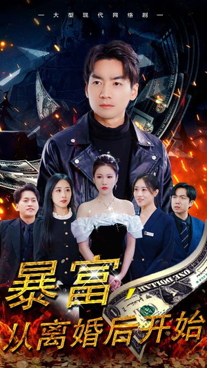 暴富，从离婚后开始（97集）高分佳作免费看