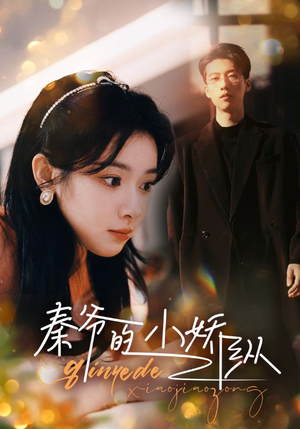 秦爷的小娇纵（96集）精彩短剧又来了