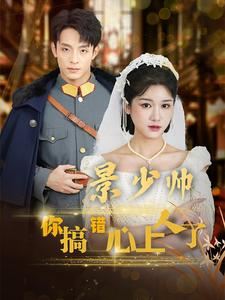 景少帅你搞错心上人了（100集）不用花钱看全剧