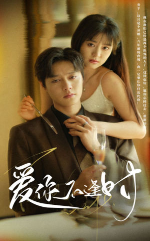 爱你不逢时（91集）全集一网打尽