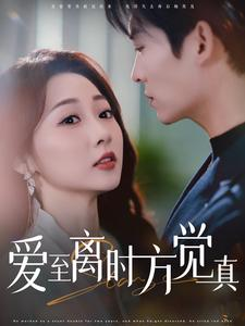 爱至离时方觉真（101集）熬夜追短剧