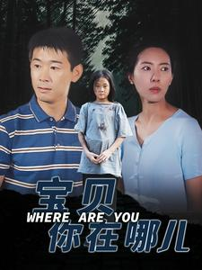 宝贝你在哪儿（30集）80到100集