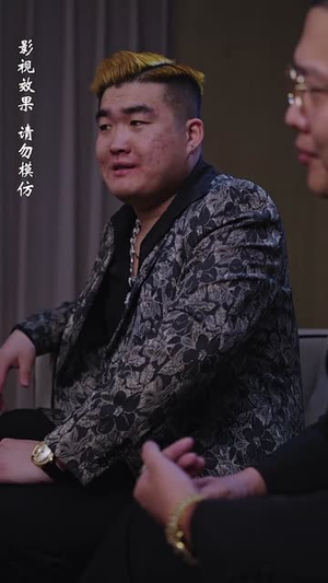 北城往事之风起云涌（60集）热门短剧大全