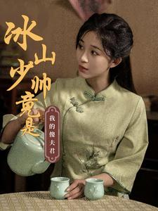 冰山少帅竟是我的傻夫君（86集）热门短剧抢先