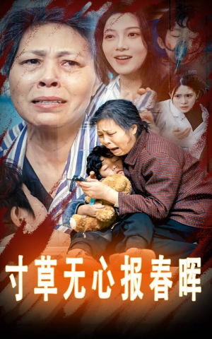 寸草无心报春晖（31集）爆火短剧推荐