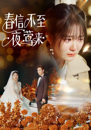 春信不至夜莺来（50集）解说文案