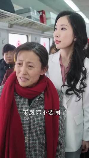 春运归途团圆年（40集）追短剧太上头了