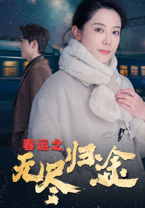 春运之无尽归途（49集）在线观看全集
