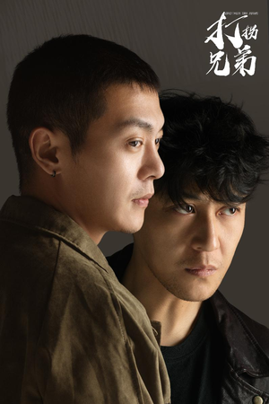 打拐兄弟（30集）最新短剧抢先看