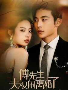 傅先生夫人又闹离婚了（80集）火爆热门短剧