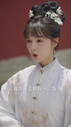 宫女扶摇录（52集）评价怎么样