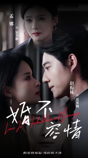 婚不容情（89集）看到大结局