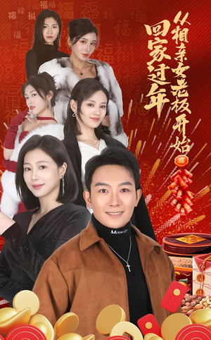 回家过年从相亲女老板开始（64集）怎么看全集