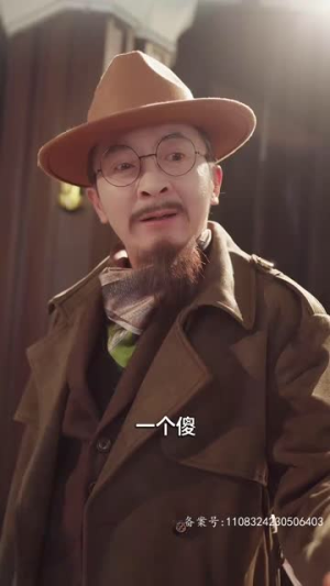 浩气长存（100集）让你一口气看完