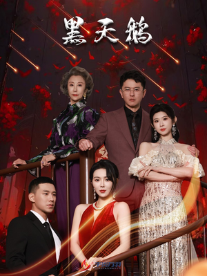 黑天鹅（51集）360网盘观看