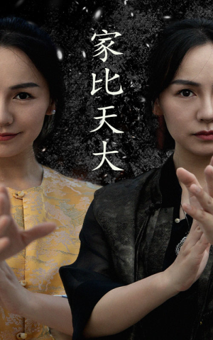 家比天大（63集）短剧追到爽