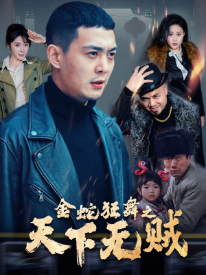金蛇狂舞之天下无贼（52集）最新热播短剧