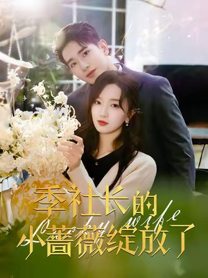 季社长的小蔷薇绽放了（60集）最新热剧免费看
