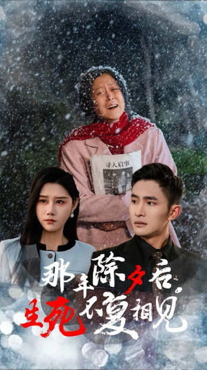 那年除夕后生死不复相见（48集）短剧在线更新