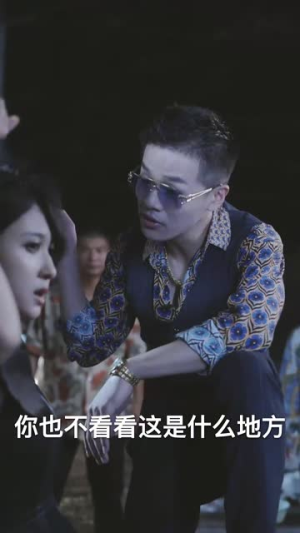 女总裁的豪龙医婿（99集）观看软件