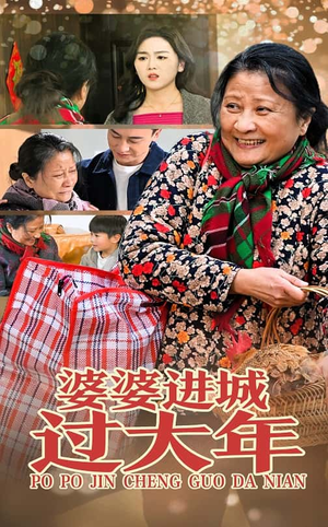 婆婆进城过大年（33集）360网盘观看