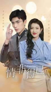 情非得已（60集）短剧全集完整版