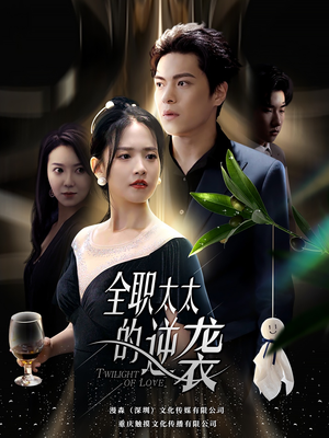 全职太太的逆袭（80集）热播短剧追不停