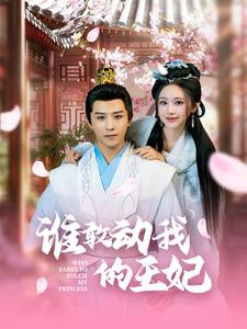 谁敢动我的王妃（62集）热门了短剧