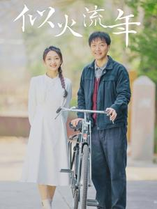 似火流年（100集）网上可以看吗