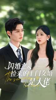闪婚之捡来的上门女婿是大佬（79集）在线免费观看