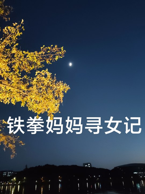 铁拳妈妈寻女记（69集）火爆短剧来袭