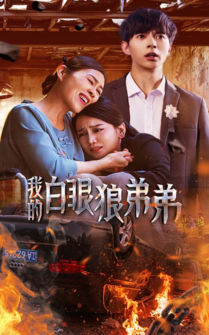 我的白眼狼弟弟（69集）爱上了这部剧了
