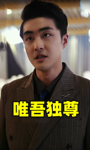 唯吾独尊（96集）追短剧关注我
