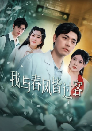我与春风皆过客（35集）热播古装短剧