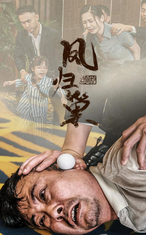 新版：凤归巢（68集）集免费看短剧