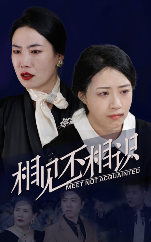 相见不相识（34集）口碑之选免费看