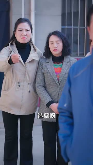 远嫁后初二回娘家（35集）精彩片段