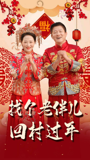 找个老伴儿回村过年（58集）分享好看短剧