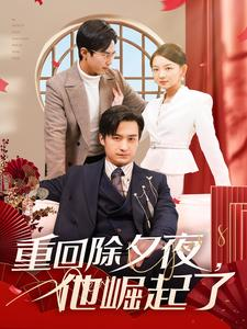重回除夕夜他崛起了（89集）免费看短剧全集