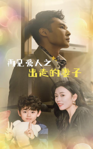 再见爱人之出走的妻子（85集）短剧抢先看