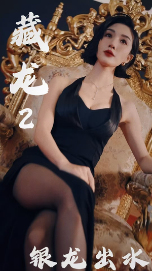 藏龙2银龙出水（35集）经典回顾免费看