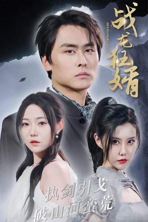 战龙狂婿（69集）口碑之选免费看