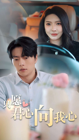 只愿君心向我心（31集）最新火爆短剧
