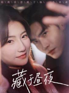 藏于昼夜（68集）爆款短剧追不停